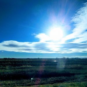 Meet your Posher, Lizzy